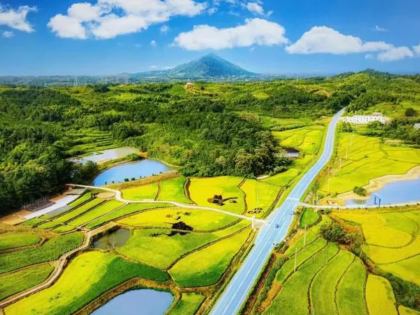 芜湖市湾沚区红杨镇月湾村2024年挖机、推土车、小型农用车中标公告
